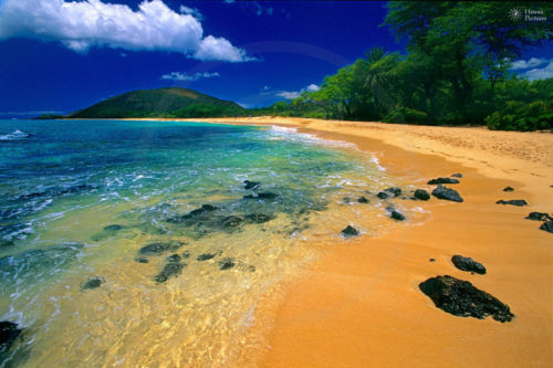 hawaii (1)